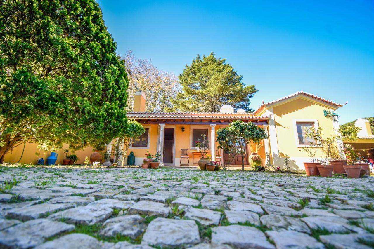 Вилла Casa Das Rosas Синтра Экстерьер фото
